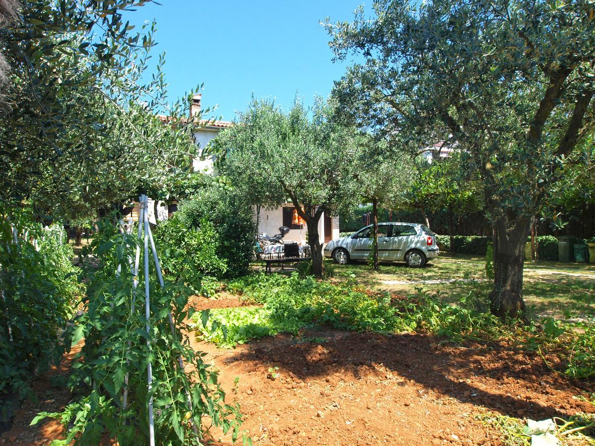 Appartamento Biskupije 940 Medolino